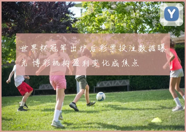 世界杯冠军出炉后彩票投注数据曝光 博彩机构盈利变化成焦点