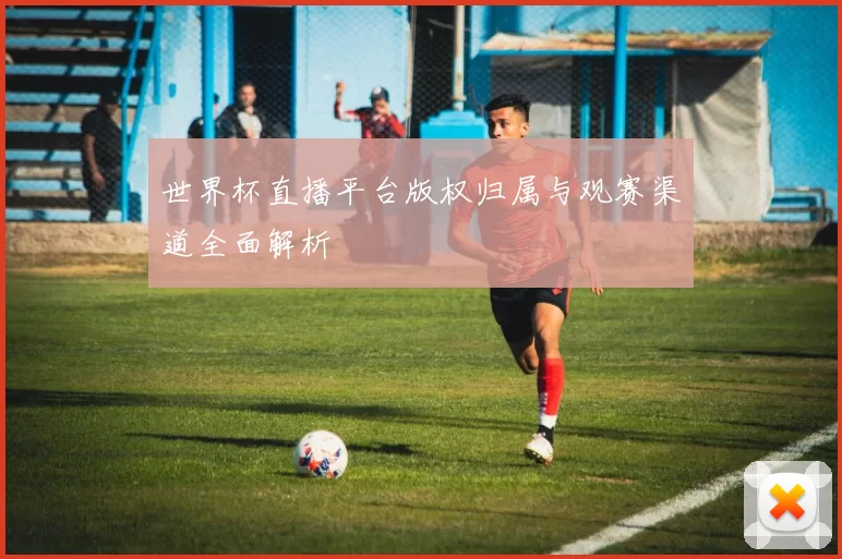 世界杯直播平台版权归属与观赛渠道全面解析