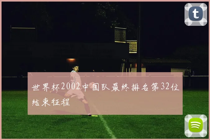 世界杯2002中国队最终排名第32位结束征程