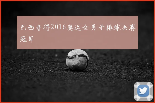 巴西夺得2016奥运会男子排球决赛冠军